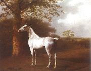 Agasse, Jacques-Laurent White Horse in Pasture USA oil painting artist